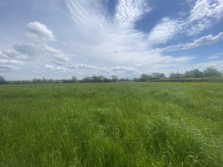 Click the photo for more details of Parbrook, East Pennard, Somerset