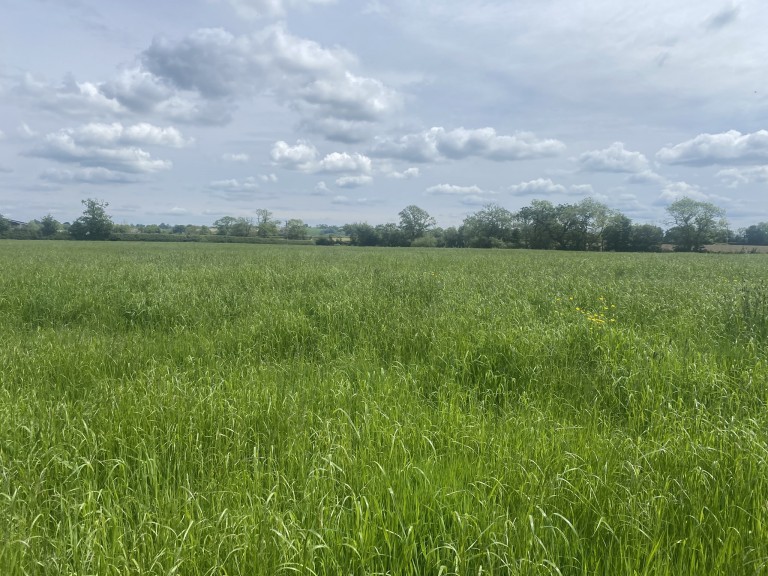 Images for Parbrook, East Pennard, Somerset