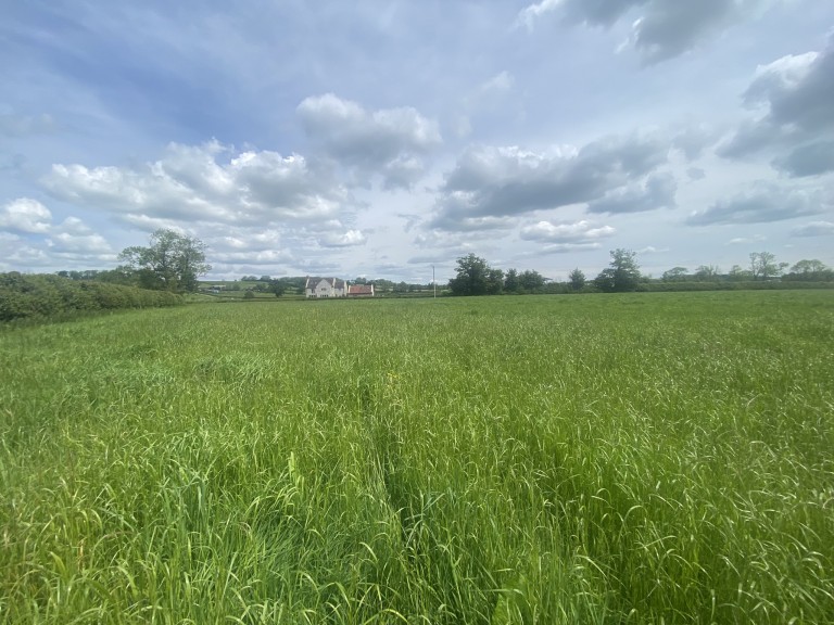 Images for Parbrook, East Pennard, Somerset