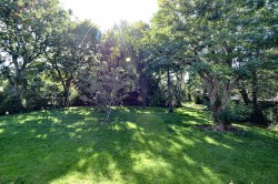 Images for Dandos Lane, Wedmore, Somerset