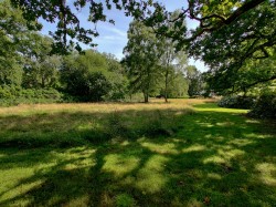 Images for Beechwood Lane, Burley, Ringwood, BH24