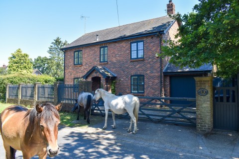 Click the photo for more details of Rockford, Ringwood, BH24