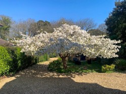 Images for Wood Lane, Milford on Sea, Lymington, SO41