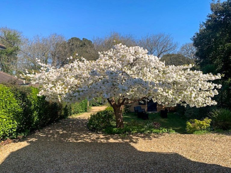 Images for Wood Lane, Milford on Sea, Lymington, SO41