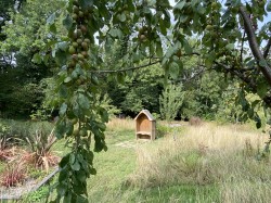 Images for Orchardleigh, Somerset