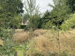 Images for Orchardleigh, Somerset
