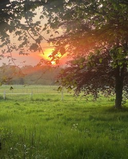 Images for The Green, Catsfield, East Sussex