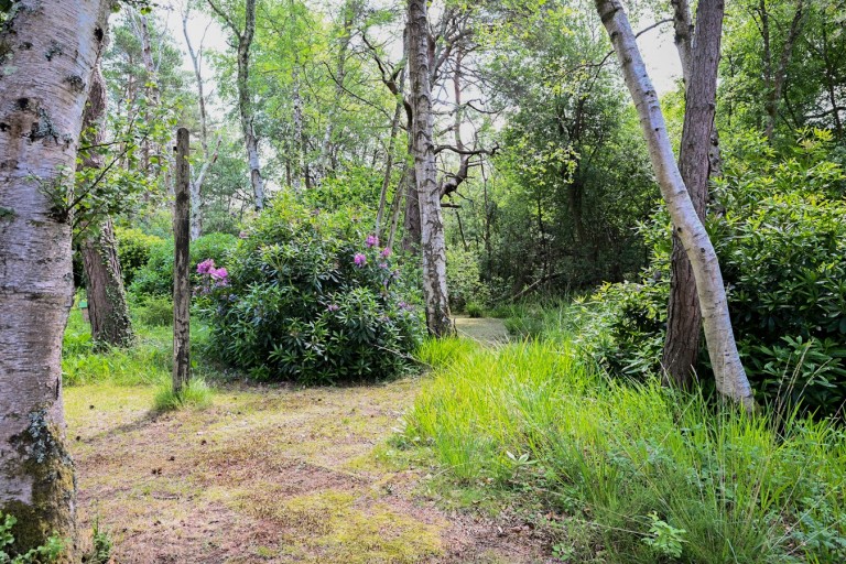 Images for Horton Road, Ashley Heath, Ringwood, BH24