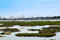 Images for Lisle Court Road, Lymington, SO41