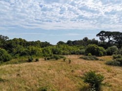 Images for Sway Road, Lymington, Lymington, so41