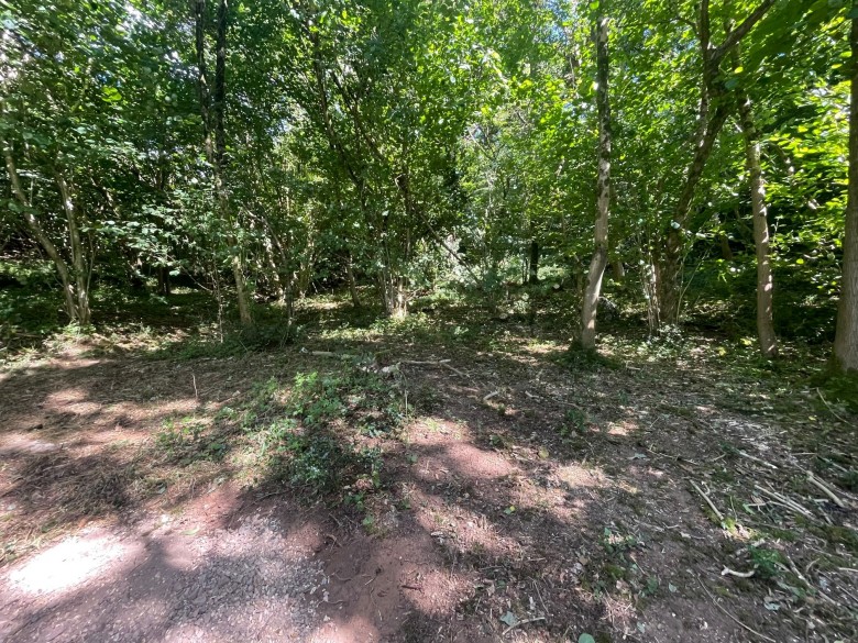 Click the photo for more details of Lynch Lane, Cheddar, Somerset