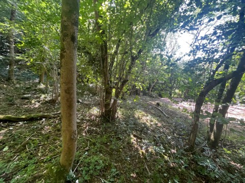 Click the photo for more details of Lynch Lane, Cheddar, Somerset