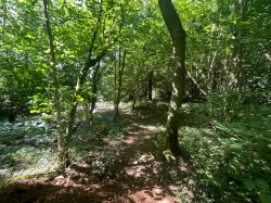 Images for Lynch Lane, Cheddar, Somerset