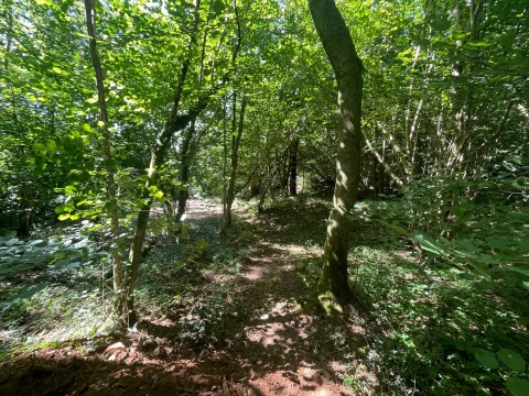 Click the photo for more details of Lynch Lane, Cheddar, Somerset