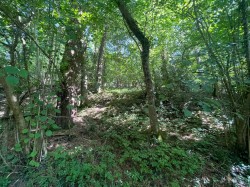 Images for Lynch Lane, Cheddar, Somerset