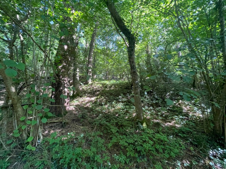 Images for Lynch Lane, Cheddar, Somerset