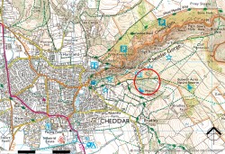 Images for Lynch Lane, Cheddar, Somerset