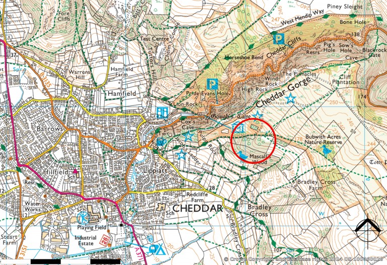 Images for Lynch Lane, Cheddar, Somerset