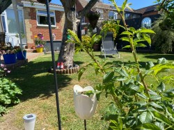 Images for Ashley Place, Warminster, Wiltshire