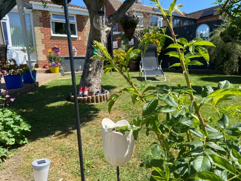 Images for Ashley Place, Warminster, Wiltshire