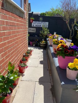 Images for Ashley Place, Warminster, Wiltshire