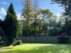 Images for Goose Green, Lyndhurst, SO43