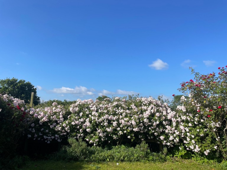 Images for Chapmanslade, Westbury, Wiltshire
