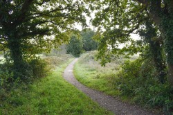 Images for Crow Hill, Crow, Ringwood, BH24