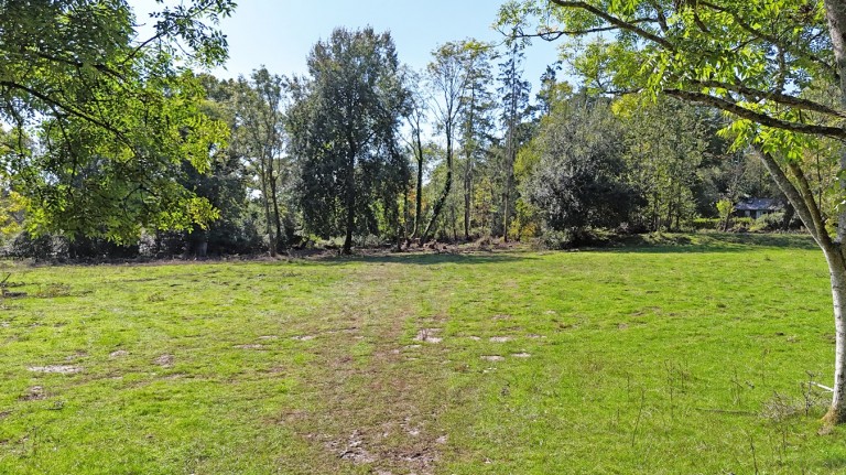 Images for Honey Lane, Burley, BH24