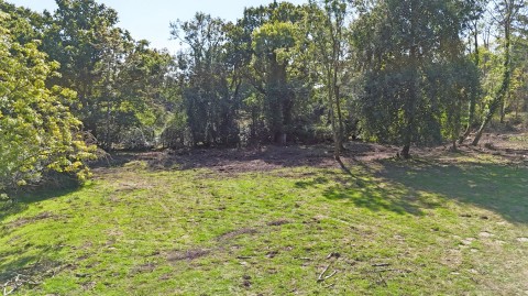 Click the photo for more details of Honey Lane, Burley, BH24