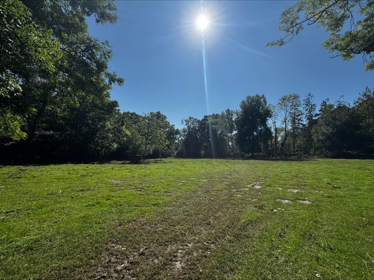 Images for Honey Lane, Burley, BH24