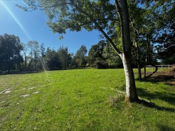 Images for Honey Lane, Burley, BH24