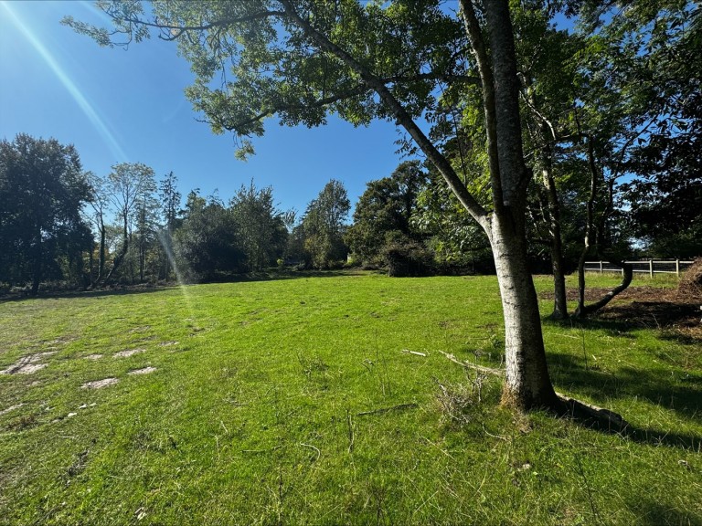 Images for Honey Lane, Burley, BH24