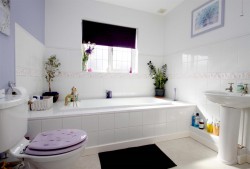 Images for Saw Close, Chalgrove