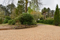 Images for St Ives Wood, Ringwood, BH24