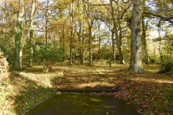 Images for Undershore Road, Lymington, SO41