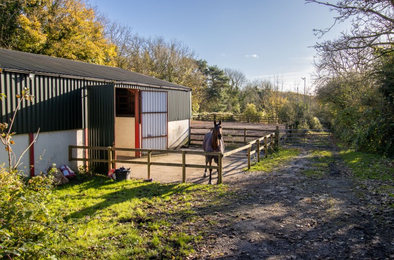 Images for Timsbury, Bath, Somerset