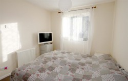 Images for WATLINGTON