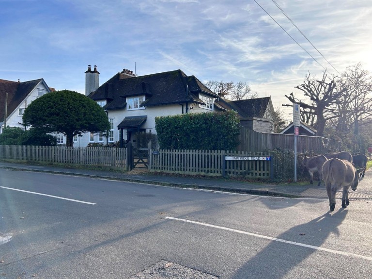 Images for Partridge Road, Brockenhurst, SO42