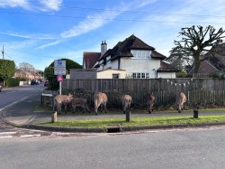 Images for Partridge Road, Brockenhurst, SO42