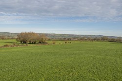 Images for Panborough, Wells, Somerset