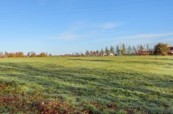 Images for Great Elm, Somerset
