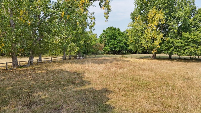 Images for Lyndhurst Road, Beaulieu, Brockenhurst, SO42