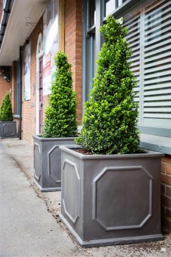 Images for Couching Street, Watlington