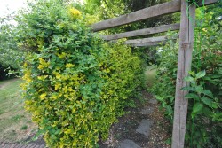 Images for Hewish, Weston-Super-Mare, Somerset