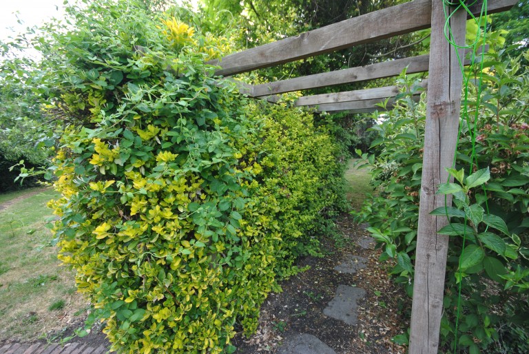 Images for Hewish, Weston-Super-Mare, Somerset