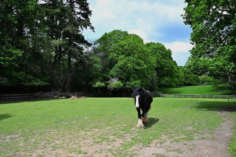 Images for Blissford, Fordingbridge, Hampshire, SP6