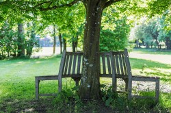 Images for Henfords Marsh, Warminster, Wiltshire