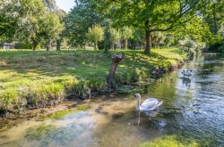 Images for Henfords Marsh, Warminster, Wiltshire