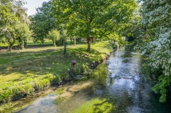 Images for Henfords Marsh, Warminster, Wiltshire
